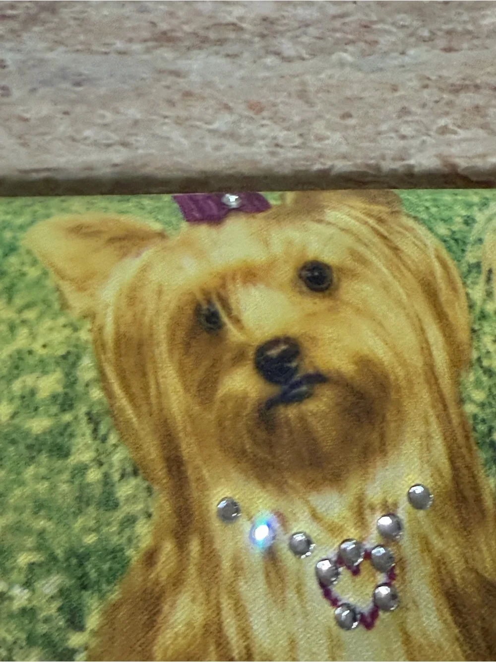Yorkshire Terrier Wallet with Decorative Dogs - Green. Unbranded